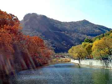 澳门精准一肖一码一一中，黄山毛峰1875